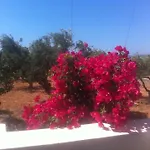Kampos Paros Vakantiehuis *