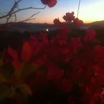 Kampos Paros Vakantiehuis