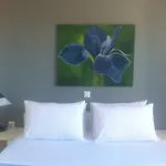 Vakantiehuis Kampos Paros Pounda