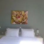 Kampos Paros Pounda