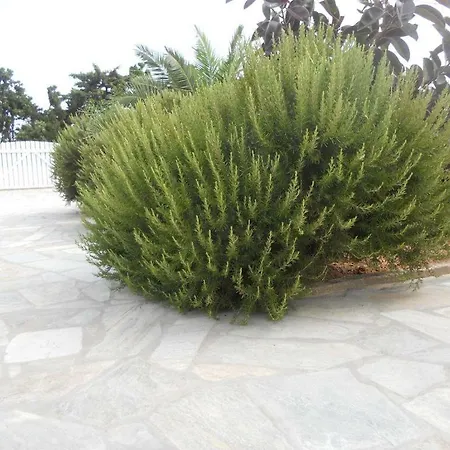 Kampos Paros *