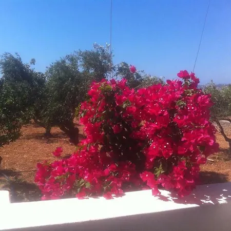 Kampos Paros Dom wakacyjny *