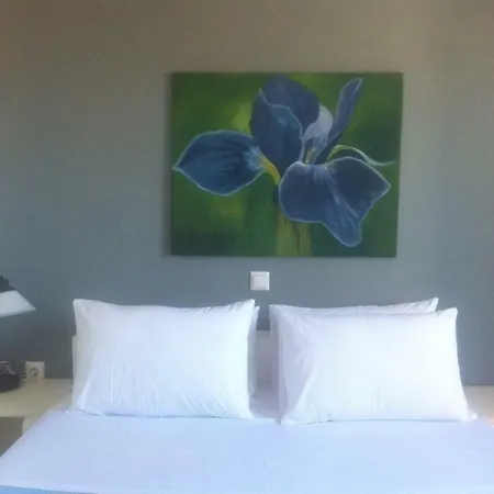 Dom wakacyjny Kampos Paros Pounda