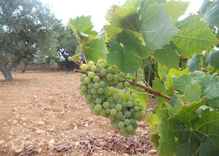 Kampos Paros 別荘 *