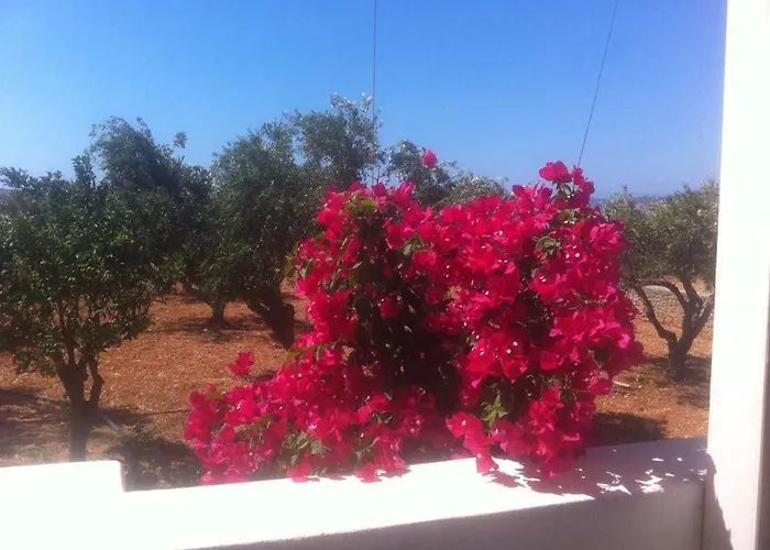Kampos Paros Holiday home *